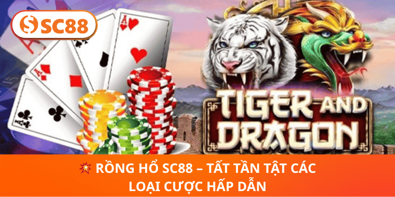 💥 Rồng Hổ SC88 – Tất Tần Tật Các Loại Cược Hấp Dẫn